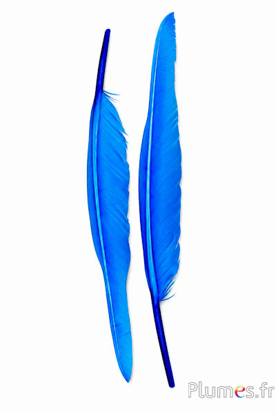 Schwan Schwert - 28-33 cm - türkis